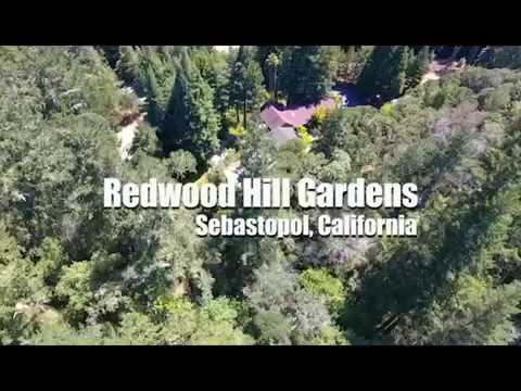 Redwood Hill Gardens Wedding Location Youtube