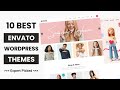 10 best envato wordpress themes 2024  responsive theme