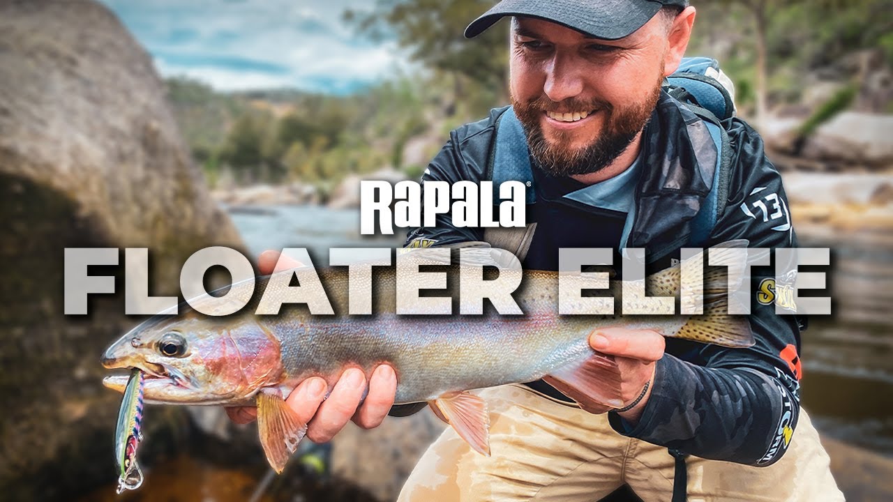 Rapala | Floater Elite 85
