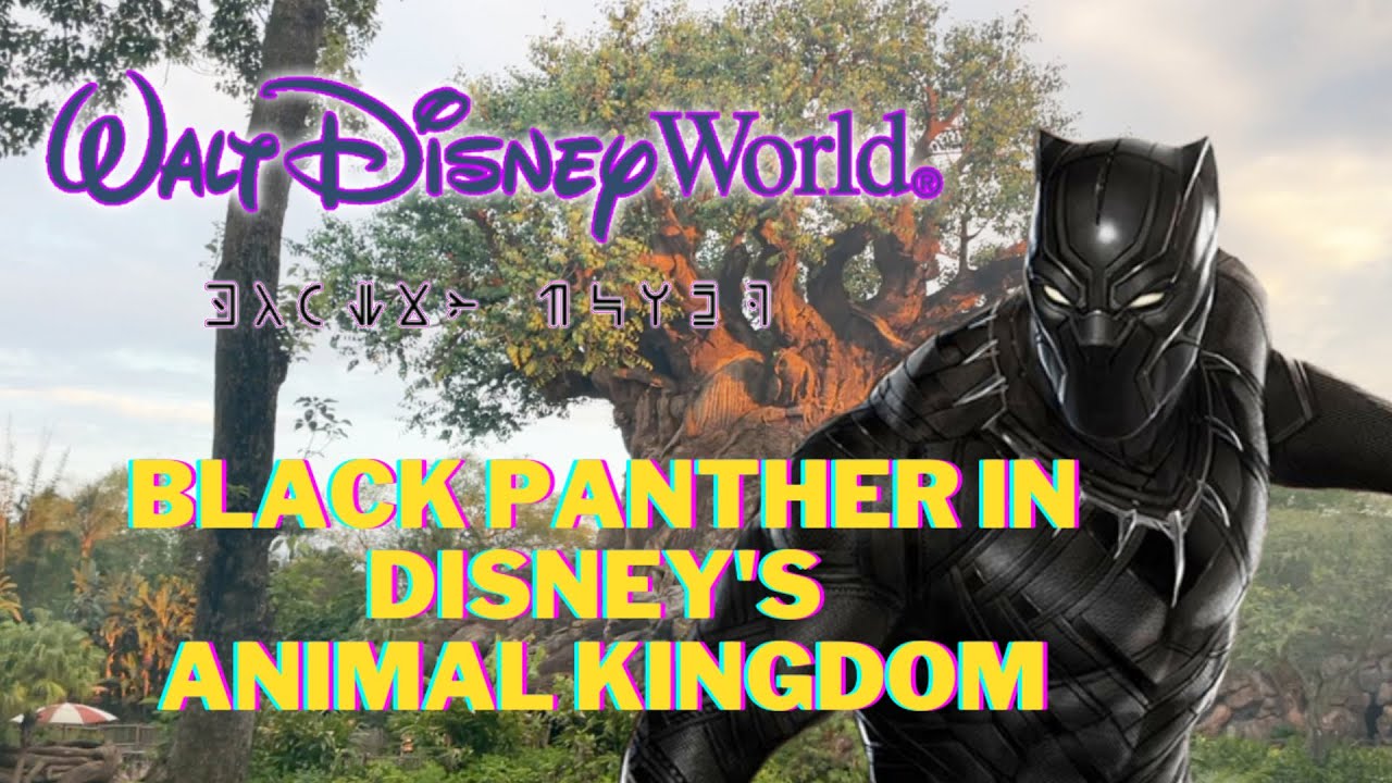 Black Panther Coming To Disney World Last Hour Of Disney's Animal