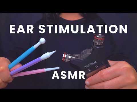 INTENSE EAR STIMULATION ASMR THRU THE TASCAM - NO TALKING