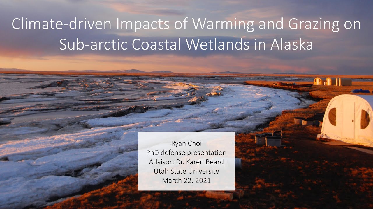 Climate-driven Impacts of Warming and Grazing on Sub-arctic Coastal Wetlands in Alaska