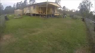 Flying Fox Test 2