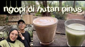 KOPI SARASA, sensasi ngopi di hutan pinus cisayong Tasikmalaya