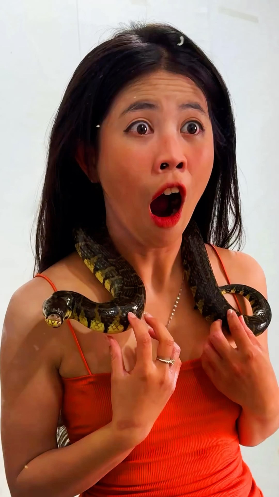 ToRung comedy: ?magic mirror?