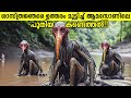     strange discoveries in amazon jungle in malayalam  storify