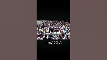 ١٣.سورة آل عمران(190-188) #إبداع.ياسر.الدوسري