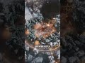 ЗАКРЫТАЯ Бета Frostpunk 2