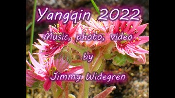 Relaxing music with Chinese Yangqin instrument for Yoga, sleep stress relief by Jimmy Widegren