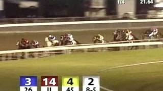 FAIR GROUNDS, 2008-12-13, Race 11