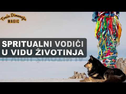 SPRITUALNI VODIČI U VIDU ŽIVOTINJA