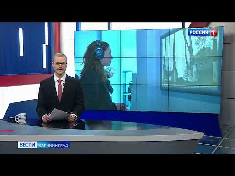 Репортаж «Вести-Калининград» об