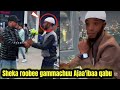 Sheekaa Roobee Gammachuu Addaa Keessa Jiru 