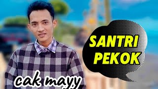Cak may SANTRI PEKOK (cover) official Music live
