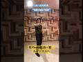 [Cover] LIL LEAGUE - "MONSTER" [踊ってみた] #coverdance #LILLEAGUE #MONSTER #EXILETRIBE #iCONZ #踊ってみた