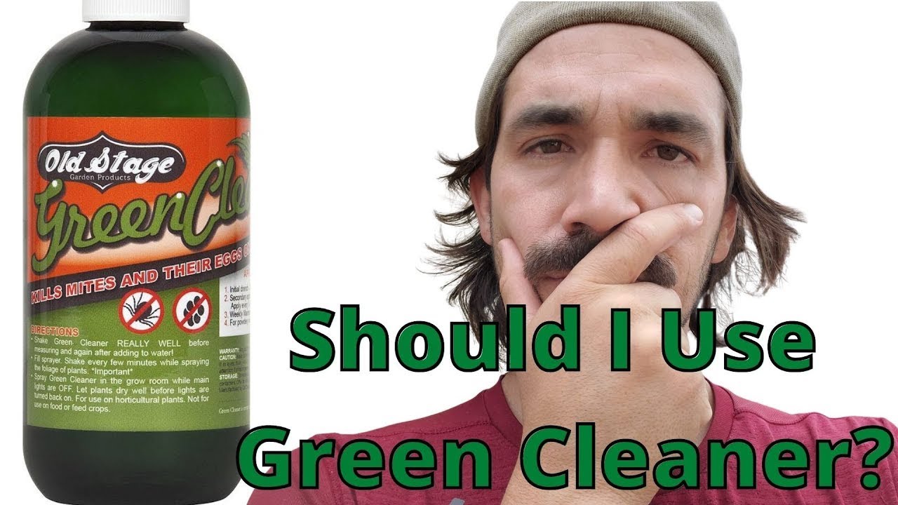 Green Cleaner | 2oz