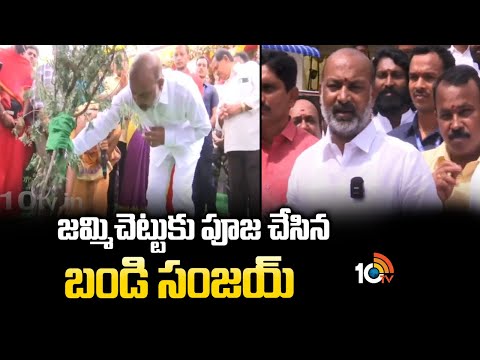 జమ్మిచెట్టుకు పూజ చేసిన బండి సంజయ్ | Bandi Sanjay Performs Puja for the Jammi Tree | 10TV News - 10TVNEWSTELUGU