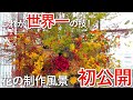 【これが世界一】巨大なお祝いの花の制作風景を初公開！【梓設計75周年記念】