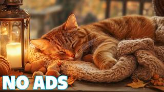 12 Hours of Soft Music for Cats 💤 Relaxing Music for Cats🌿 Tender Comfort for Cats screenshot 5