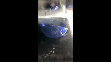 Cloud Chamber Experiment