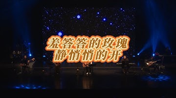 羞答答的玫瑰静悄悄地开 杭州大剧院live版本