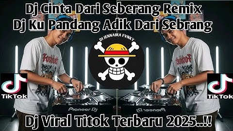 DJ CINTA DARI SEBERANG X DJ KU PANDANG PANDANG ADIK DARI SEBERANG REMIX TERBARU 2025