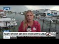 VIDEO: Boater runs over manatee in Shem Creek, witnesses say warnings were ignored