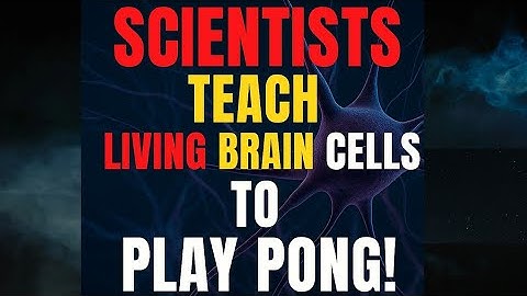 The Mini-Brain That Learned to Play Pong: A Real Step Toward Living Intelligence