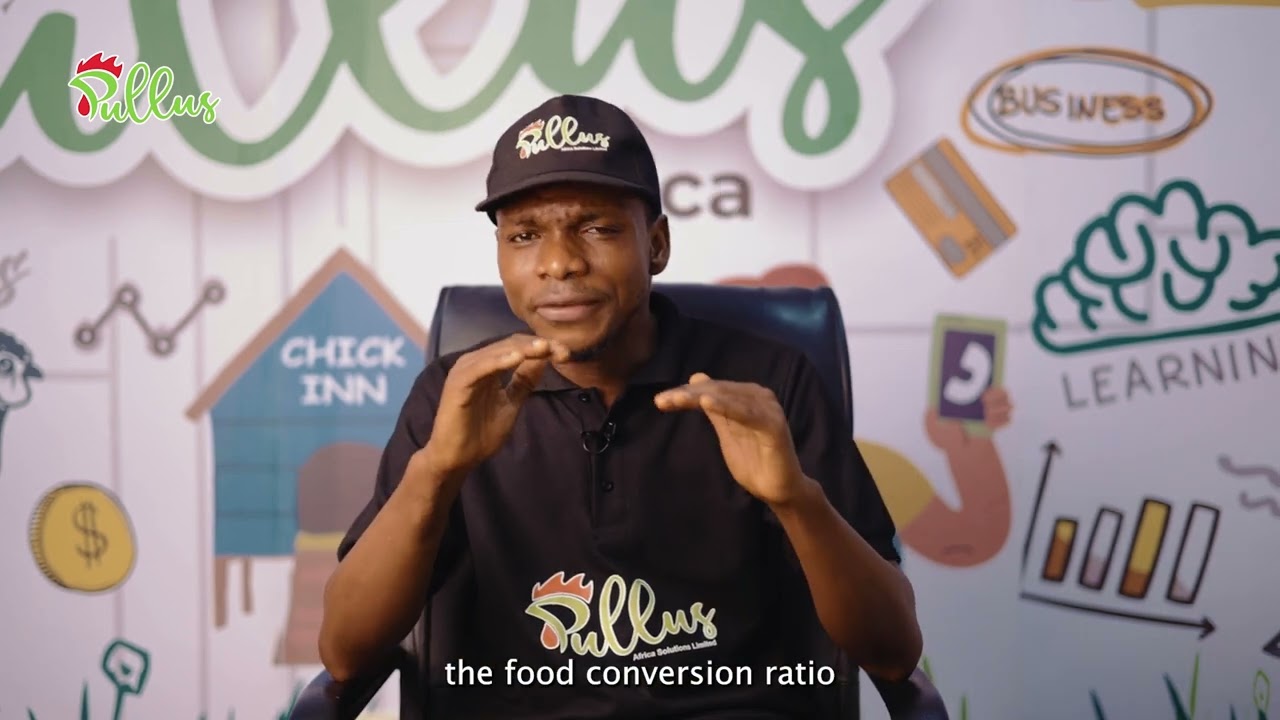 What Is Feed Conversion Ratio FCR In Poultry Keeping YouTube What Is Feed Conversion Ratio FCR In Poultry Keeping YouTube