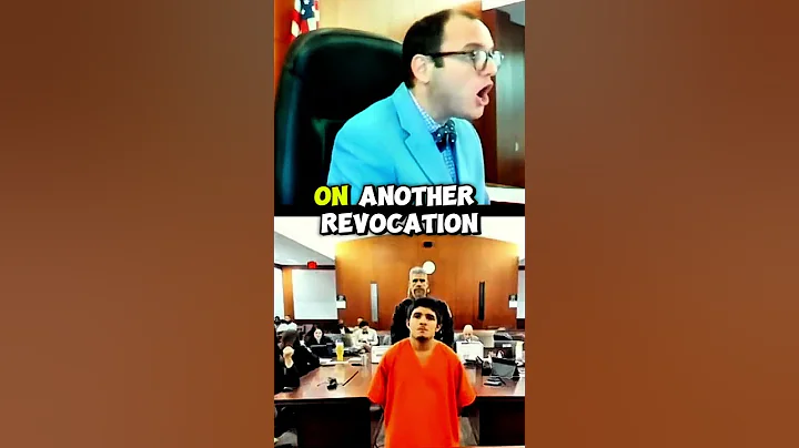 Judge Fleischer's HARSH Reality Check #judgefleischer #justice #crime #courtcam #dwi #probation #dui