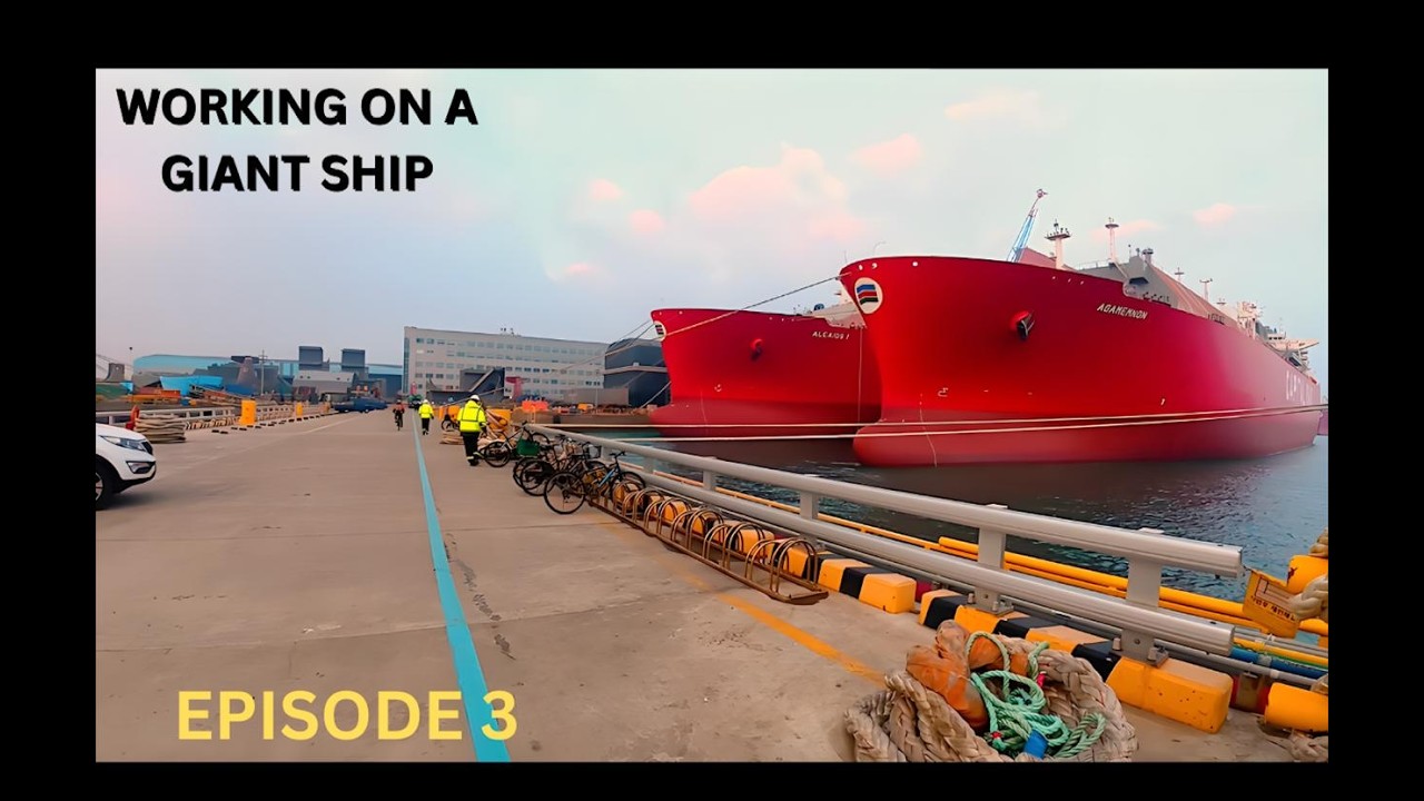 Working on a Giant Container ship (Episode 3)
