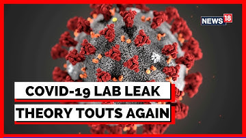 Wuhan Lab Leak In China | Spread Of Covid19 | Republican Senate Staff