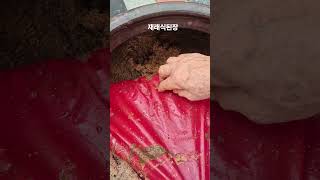 재래식된장#1킬로1만6천원#010-5543-9191