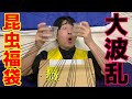 カマキリ限定の昆虫福袋の中身が予想外すぎた！！！