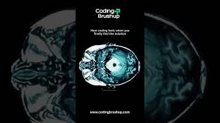 "When Your Code Finally Works After Hours of Debugging 😌💻 #CodingLife"