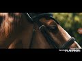Equestrian Sport ~Halsey~ Конный спорт