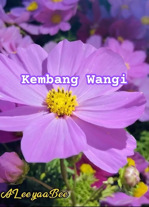 Kembang wangi happy asmara🇭🇰🇮🇩#reels #happyasmara #viralvideo