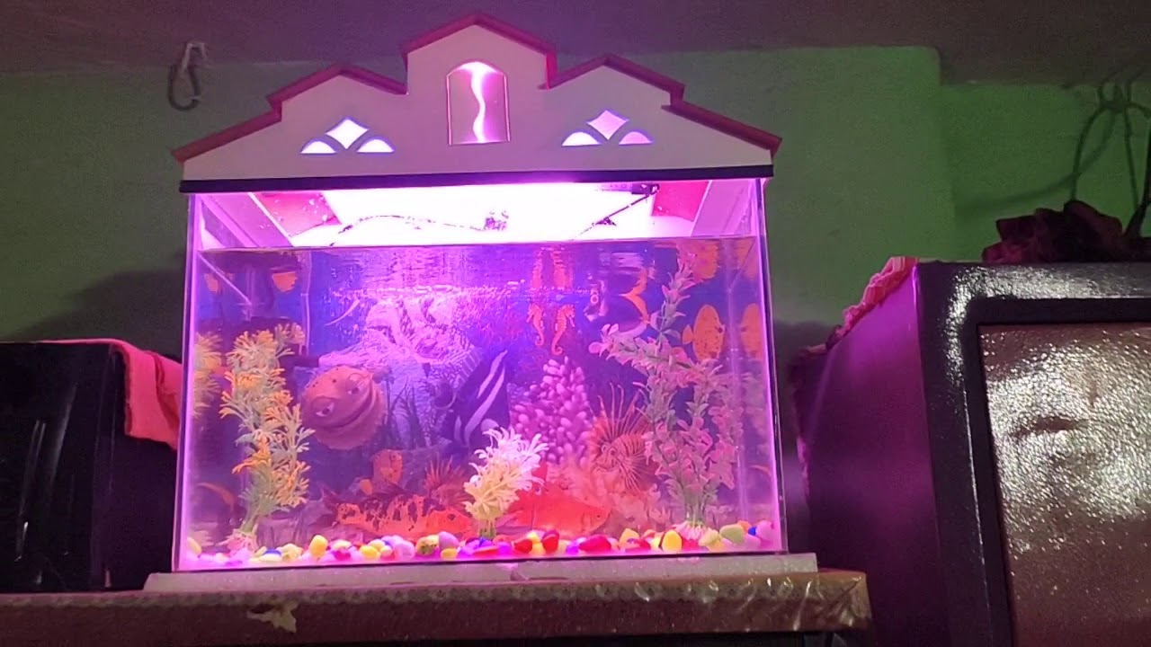 Full setup AQUARIUM YouTube