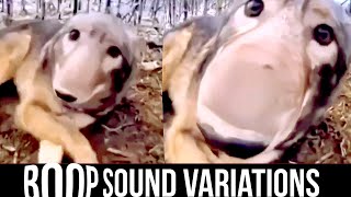 Boop sound variations #memes
