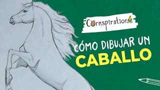Cómo Dibujar Un Caballo Paso A Paso