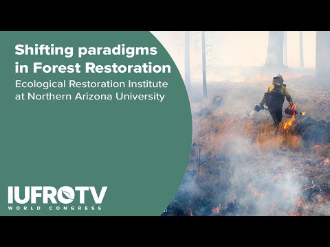 The Ecological Restoration Institute at Northern Arizona University