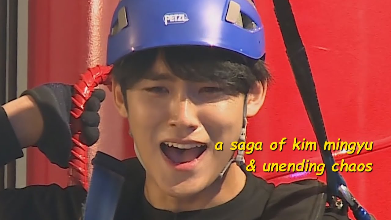 mingyu and all things ✨️ chaos ✨️