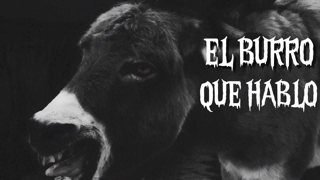 EL BURRO QUE HABLÓ