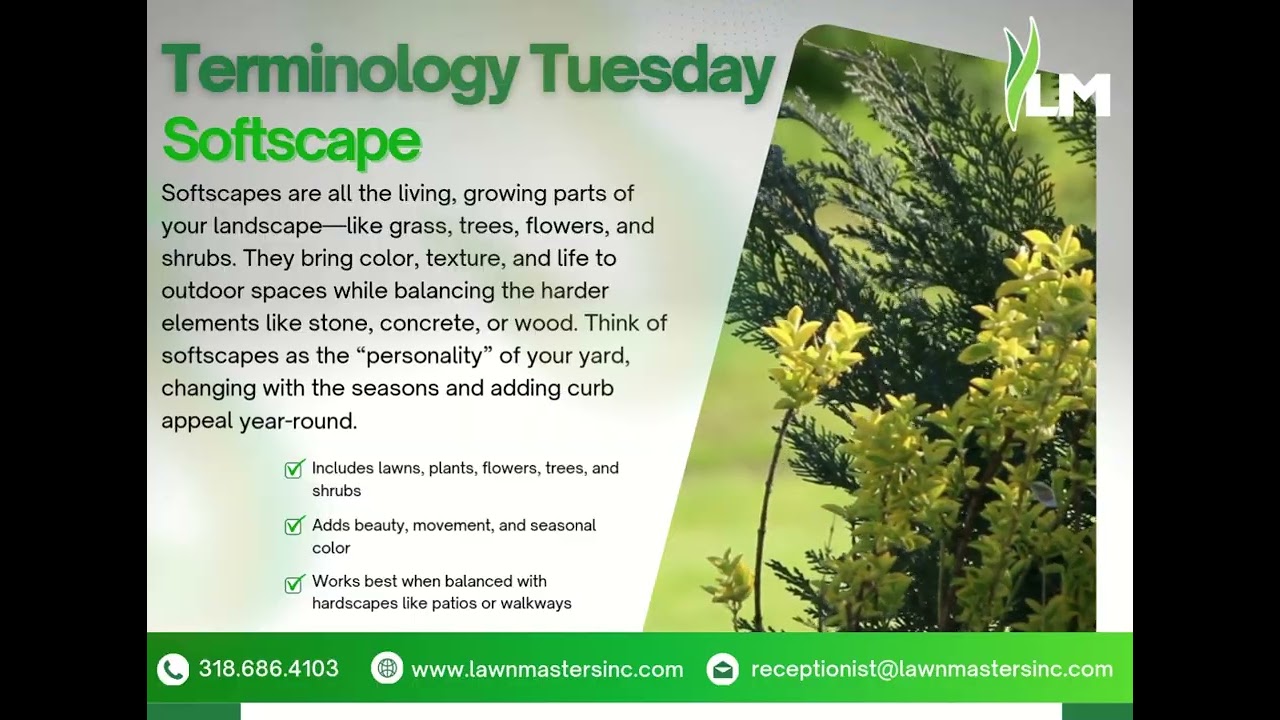 📚 Terminology Tuesday: What are Softscapes?
