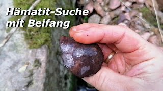 Mineralien in den Bächen des Westerzgebirges Teil 6 - Hämatit Suche mit Beifang