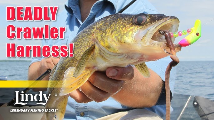 Lindy Perch Talker Features and Benefits 