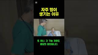 멍이 잘 드신다면 확인해보세요. #멍자주생김
