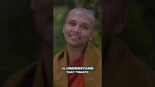 Wisdom vs. Knowledge, Explained Simply 🍅 #spirituality