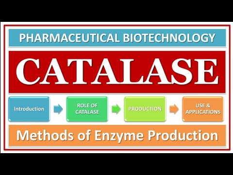 ভিডিও: ক্যাটালেজ কোন ধরনের এনজাইম?