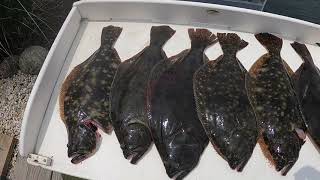 NJ Fluke Season Opening day 2021